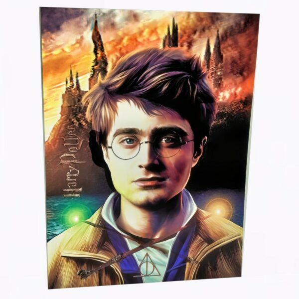 Póster 3d Harry Potter