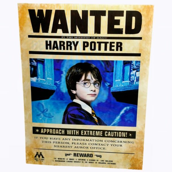 Póster 3D Harry Potter 3
