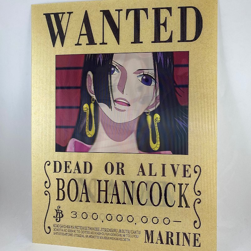 Poster Wanted Boa Hancock, Nami y Robin