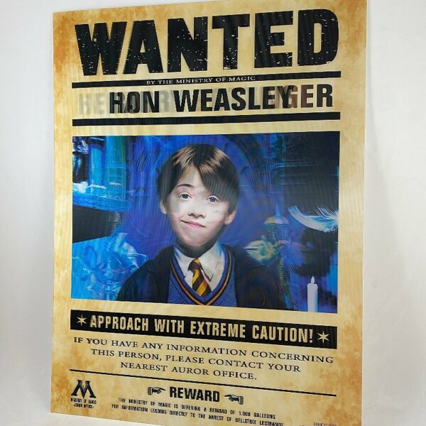 Poster 3D Lenticular Wanted Ron, Hermione y Harry Potter