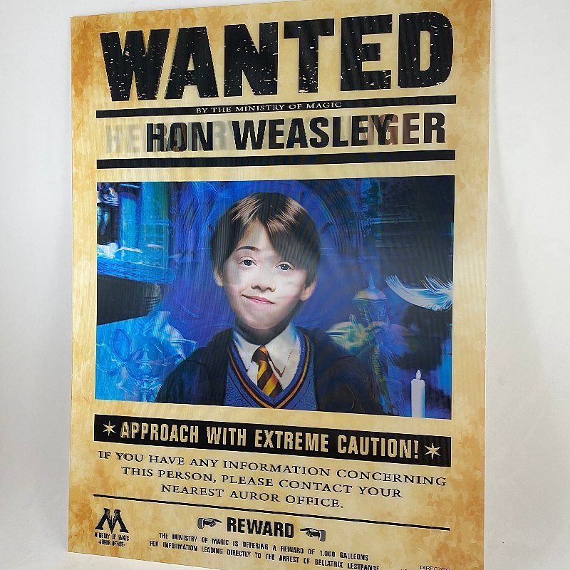 Poster 3D Lenticular Wanted Ron, Hermione y Harry Potter